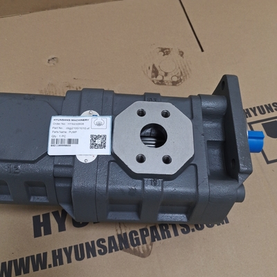 Hydraulic Motor Gear Pump CBGJ21001010-XF For Construction Machines Excavator