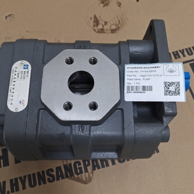 Hydraulic Motor Gear Pump CBGJ21001010-XF For Construction Machines Excavator