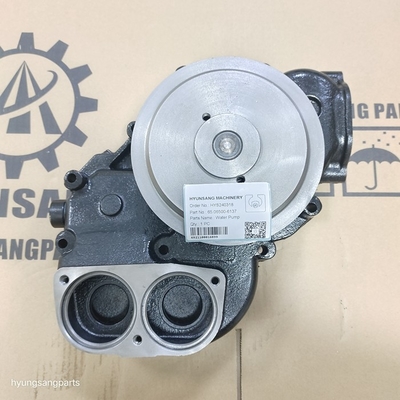 Water Pump Assy 65.06500-6137 65065006138 65-06500-6138 65.06500-6139C For H220-3 DH280-3