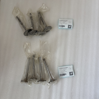 Hyunsang Excavator Parts INLET VALVE 12159606 EX VALVE 12159608 For Weichai Deutz 22B/WP6