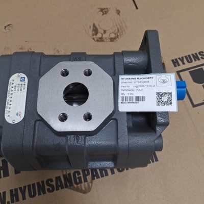 Hydraulic Motor Gear Pump CBGJ21001010-XF For Construction Machines Excavator