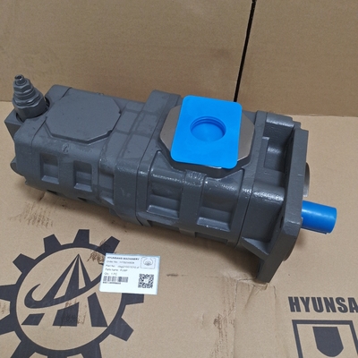 Hydraulic Motor Gear Pump CBGJ21001010-XF For Construction Machines Excavator