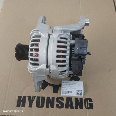 Excavator Alternator VOE17204355 VOE 17204355 for EC160E EC170D EC180C