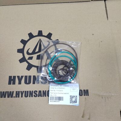 Excavator Parts Overhaul Seal Kit 11103473 for Series 45 J Frame 45-75CC Hydraulic Pump